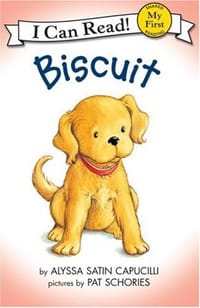 Biscuit