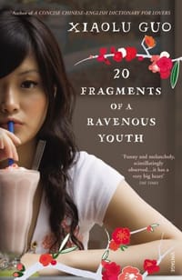 书籍 20 Fragments of a Ravenous Youth的封面