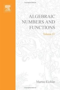 Introduction to the Theory of Algebraic Numbers and Fuctions