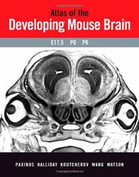 Atlas of the Developing Mouse Brain at E17.5, P0 and P6