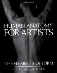 Human Anatomy for Artists