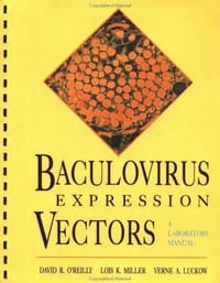Baculovirus Expression Vectors
