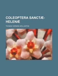 Coleoptera Sanct -Helen