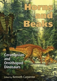 Horns and Beaks