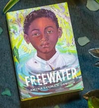 书籍 Freewater的封面