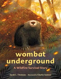 wombat underground