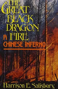 Great Black Dragon Fire