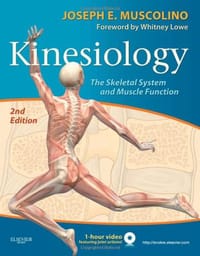 Kinesiology - Muscolino DC, Joseph E.