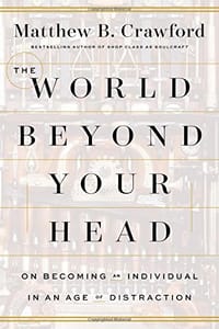 书籍 The World Beyond Your Head的封面