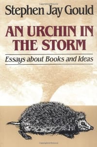 书籍 Urchin in the Storm的封面