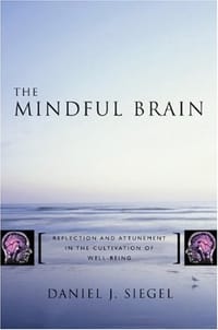 书籍 The Mindful Brain的封面