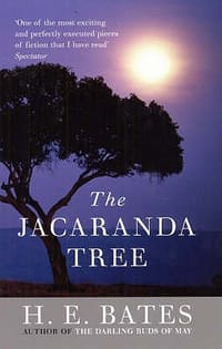 The Jacaranda Tree