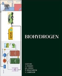 书籍 Biohydrogen的封面