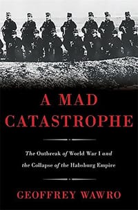 书籍 A Mad Catastrophe的封面