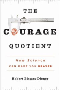 书籍 The Courage Quotient的封面