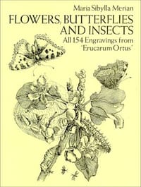 Flowers, Butterflies and Insects