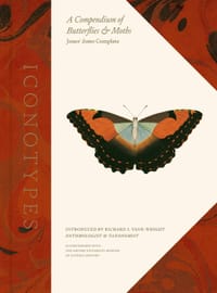Iconotypes