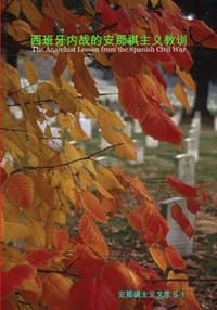 书籍 西班牙内战的安那祺主义教训的封面