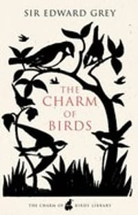 The Charm of Birds