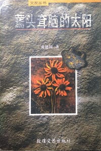 蔫头耷脑的太阳