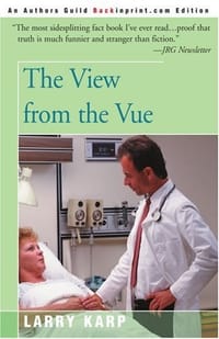 书籍 The View from the Vue的封面