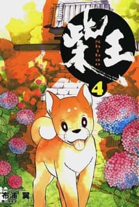 书籍 柴王(04)的封面