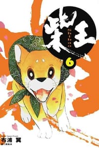 书籍 柴王(06)的封面