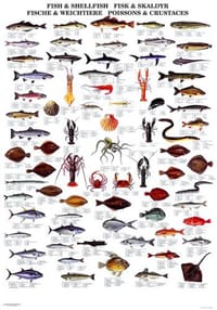 "Fishing News" Books Wallcharts
