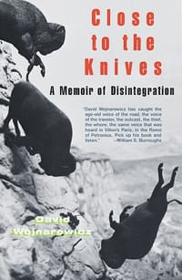 Close to the Knives - David Wojnarowicz