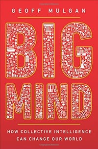 书籍 Big Mind的封面