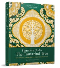 书籍 Summers Under The Tamarind Tree的封面