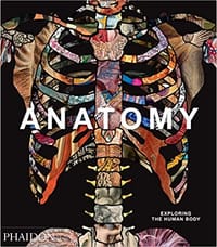 书籍 Anatomy的封面