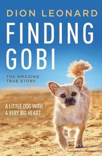 书籍 Finding Gobi的封面