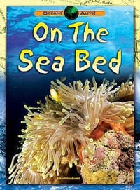On the Sea Bed