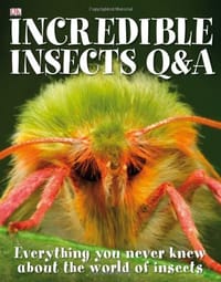 书籍 Incredible Insects Q & A的封面