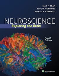 Neuroscience - Mark F. Bear, Barry W. Connors, Michael A. Paradiso