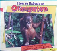 How to Babysit an Orangutan