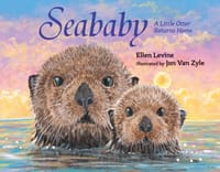 Seababy