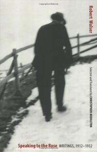 Speaking to the Rose - Robert Walser