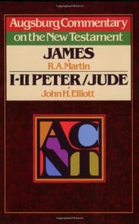 Augsburg Commentary on the New Testament