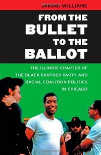 From the Bullet to the Ballot