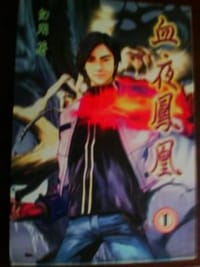 书籍 血夜凤凰的封面