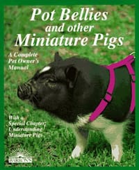 Pot Bellies and Other Miniature Pigs