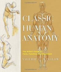Classic Human Anatomy - Valerie L. Winslow