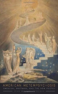 书籍 American Metempsychosis的封面