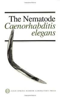 Nematode, Caenorhabditis Elegans