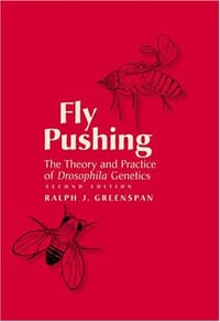 Fly Pushing
