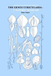 Genus Utricularia - P G Taylor