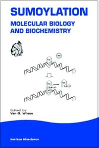 Sumoylation
