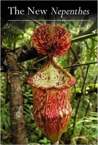 The New Nepenthes